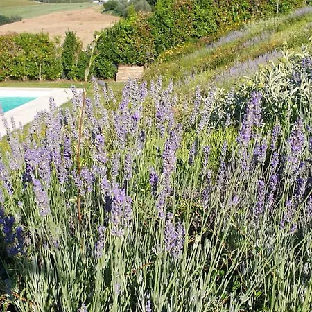 Casale Bell'aria